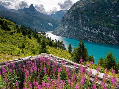 Switzerland Peak Tour – S803 Switzerland Peak Tour – S803