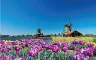 Holiday Packages for  SWITZERLAND & EUROPE  