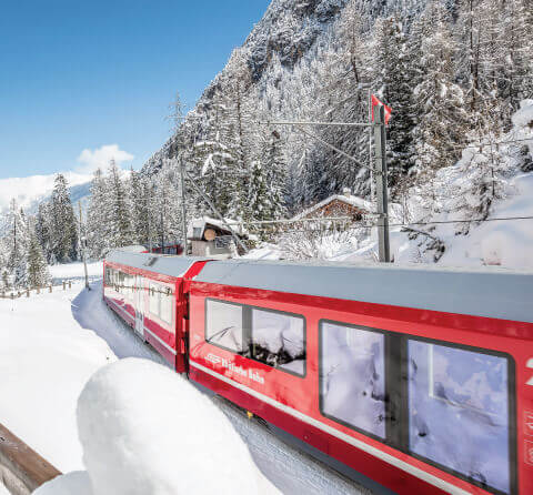 Holiday Packages for  SWITZERLAND & EUROPE  