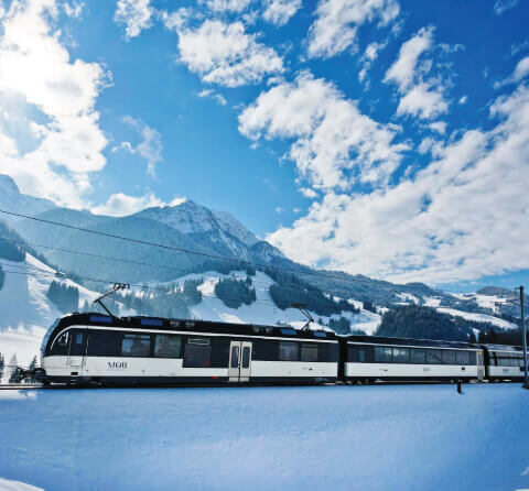 Holiday Packages for  SWITZERLAND & EUROPE  