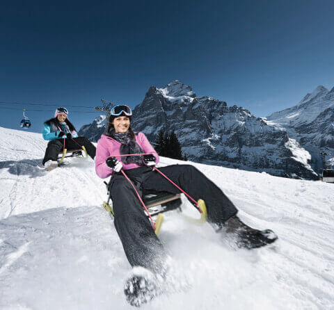 Holiday Packages for  SWITZERLAND & EUROPE  