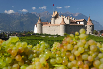 Swiss Splendour Tour