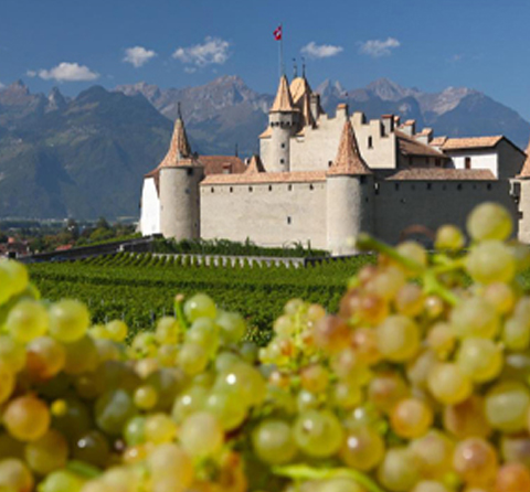 Holiday Packages for  SWITZERLAND & EUROPE  