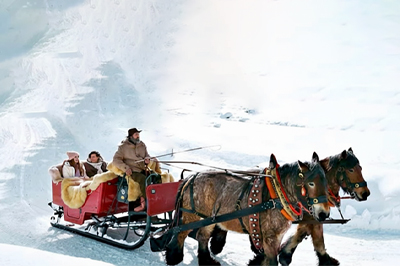 Wonderland Of Winter