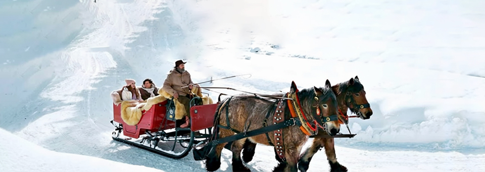 Wonderland Of Winter Wonderland Of Winter